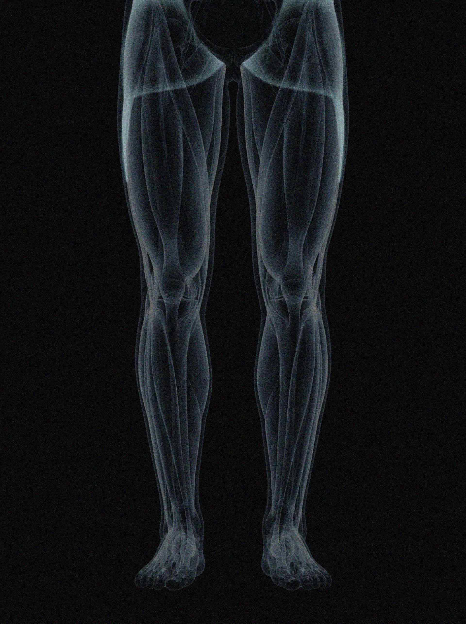 the body knows. — conventional